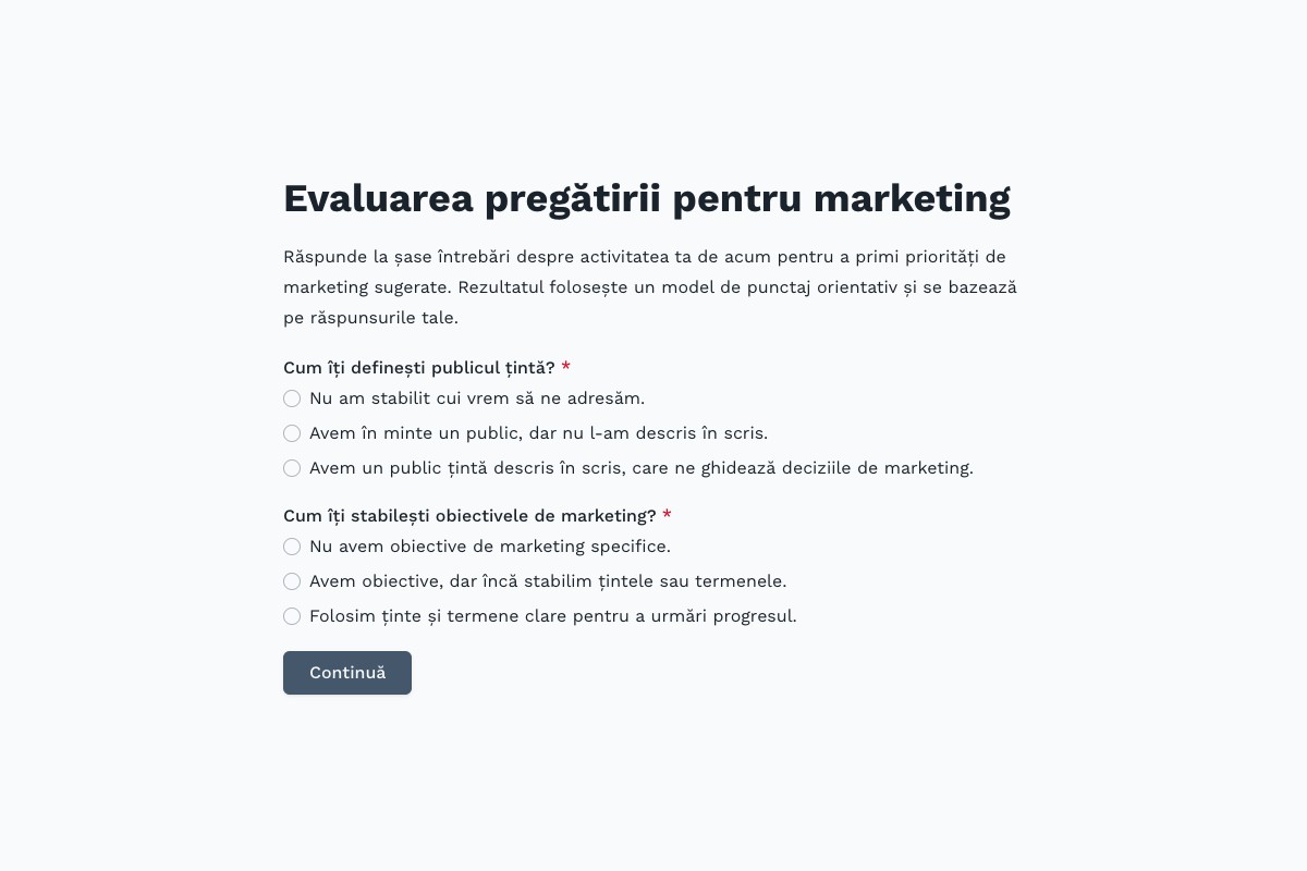 Previzualizare șablon: Evaluarea pregătirii pentru marketing